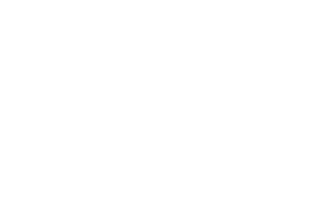 Vertex Logo